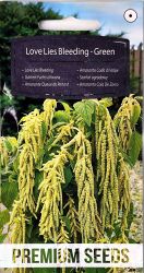 Love Lies Bleeding Green Seeds